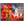14cc5bb6-3829-4b62-ae13-77c1a6735446