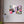 4b008e1e-0bd3-497f-b4cd-eaba805eb2f9