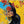 A Yellow Dream - Dganit Blechner