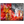fdf9b6e5-be58-4906-92ff-8bbe1eb89072