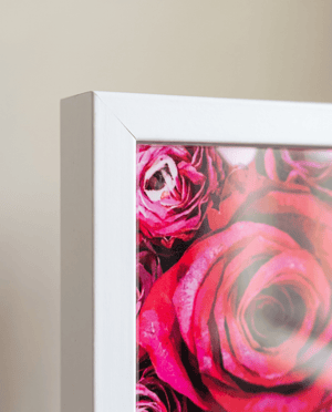 Gum & Roses - Dganit Blechner