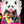 More Than Just A Panda - Dganit Blechner