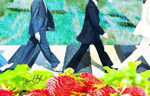 Strawberry Fields Forever - Dganit Blechner